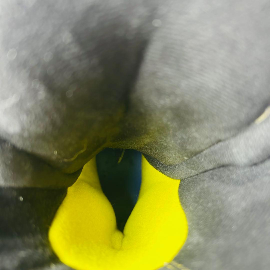 Salomon X-MAX LC 100 スキーブーツ　24.0cm