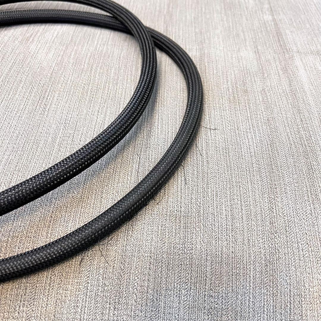 【断捨離特価】ACOUSTIC REVIVE POWER STANDARD