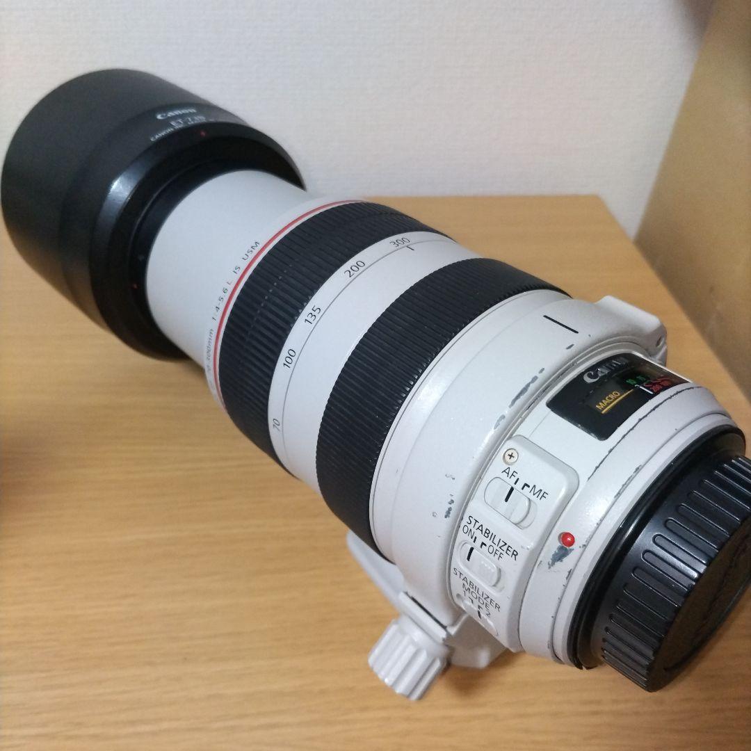 Canon EF 70-300mm F4.5-5.6L IS USM　白レンズ