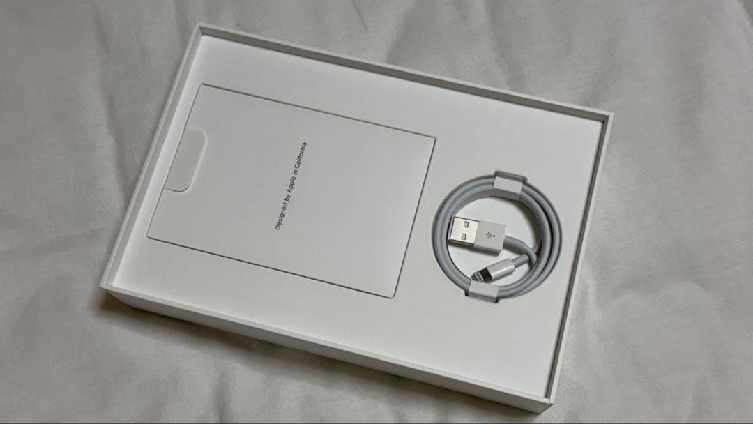 【美品】iPad mini5 ＋Apple Pencil 第1世代 送料無料