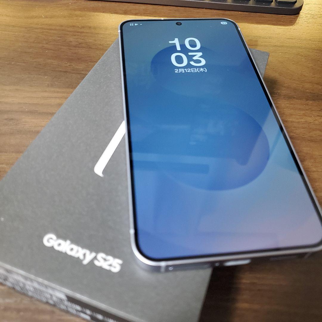 【ほぼ未使用】Galaxy S25 12GB/256GB アイシーブルー
