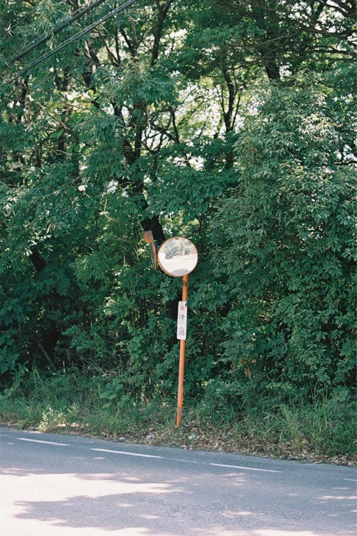 【撮影済み】Canon T90 レンズ付き 一眼レフフィルムカメラ