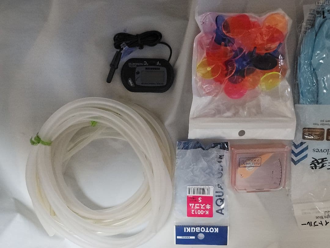 KOTOBUKI Progre 曲げガラス水槽60