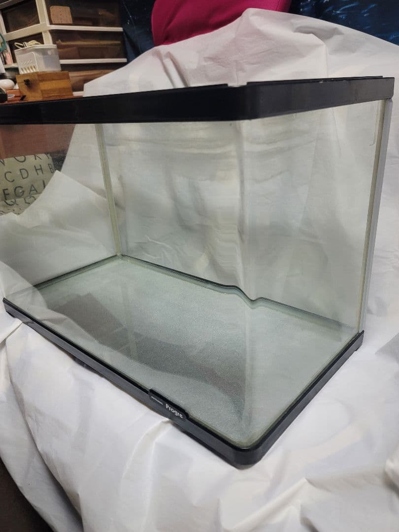 KOTOBUKI Progre 曲げガラス水槽60