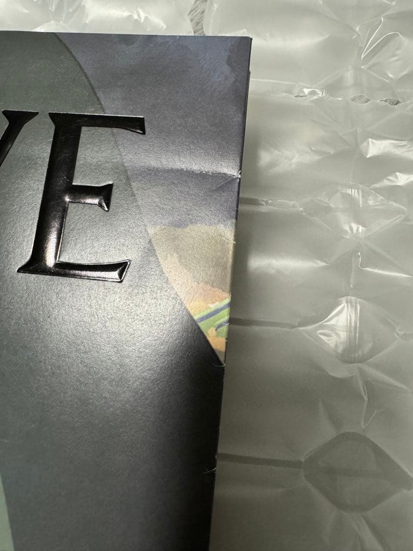 LOEWE ロエベ ジブリコラボ　千と千尋の神隠し　ショッパー　ハク