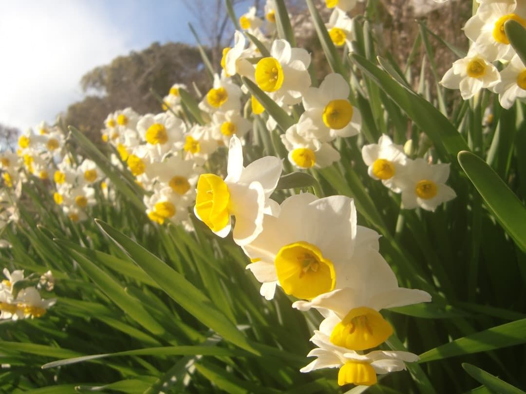 実写美⭕️【動作確認済】CASIO EXILIM EX-Z400 ゴールド