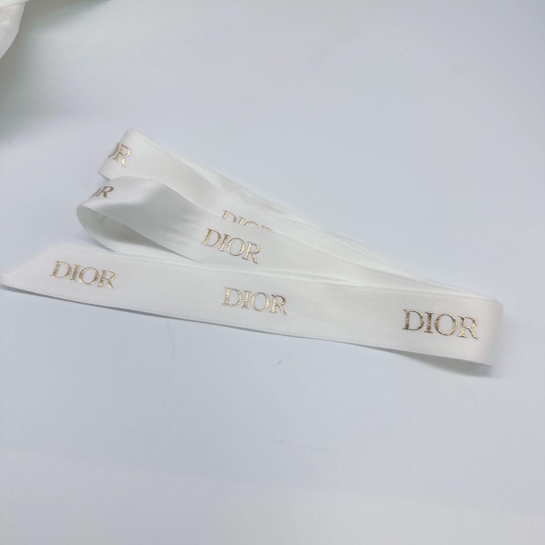 Dior iPhoneケース (iphone15対応)