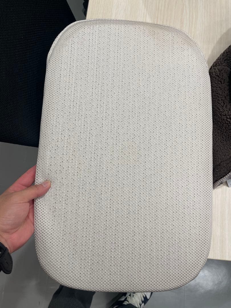 プロフ必見さん TAVO ペットカート デコピン愛用　大谷翔平