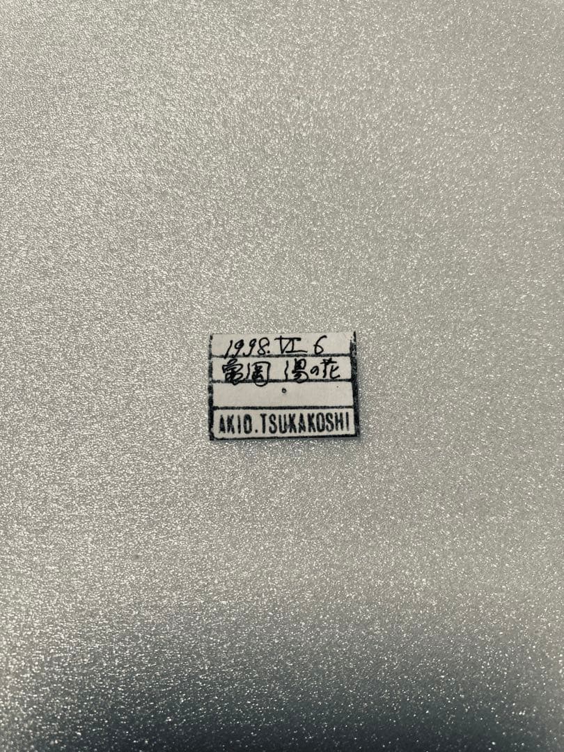 【1ペア】黒化タイプ、キアゲハ（愛知県産）