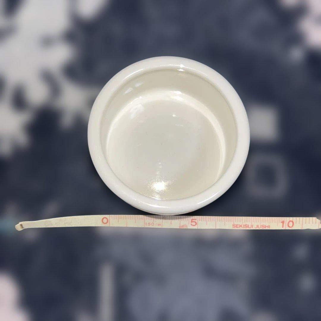 割引7600円★爬虫類３点セット！爬虫類ケージ&シェルターL&レプタイルカップS