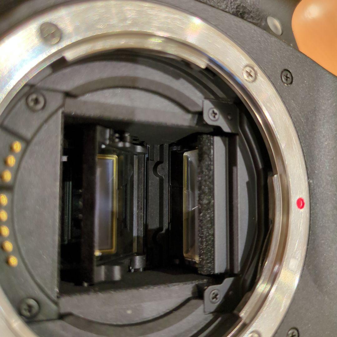 Canon EOS 77D デジタル一眼レフカメラ