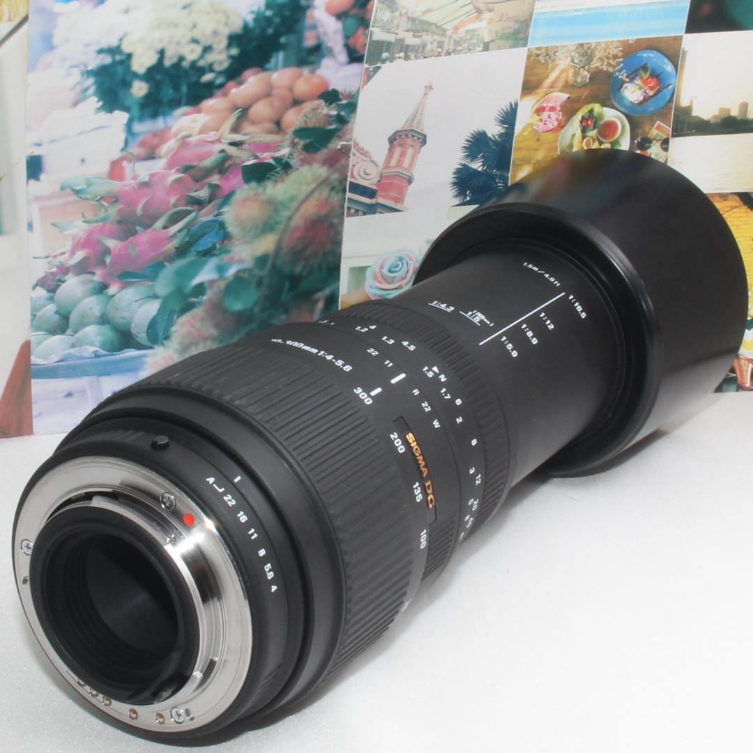 ❤️望遠の世界を掴み取る❤️シグマ 70-300mm DG ❤️ペンタックス用