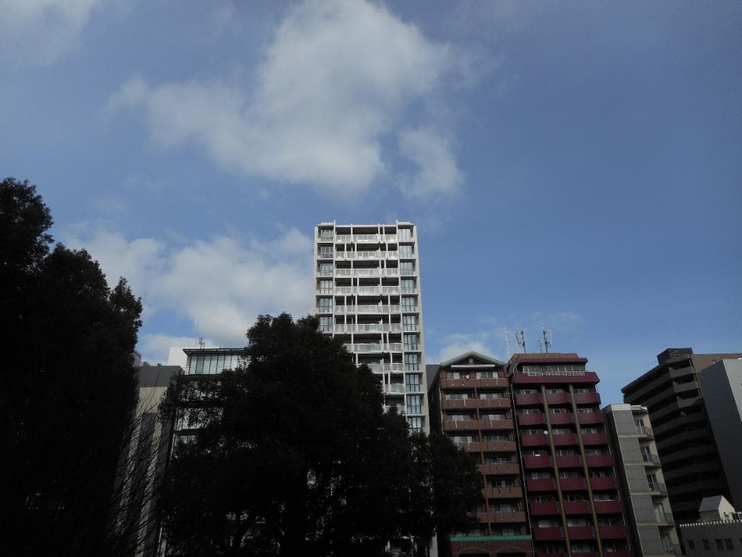 【スマホ転送OK】ニコン Nikon COOLPIX S3700 シルバー