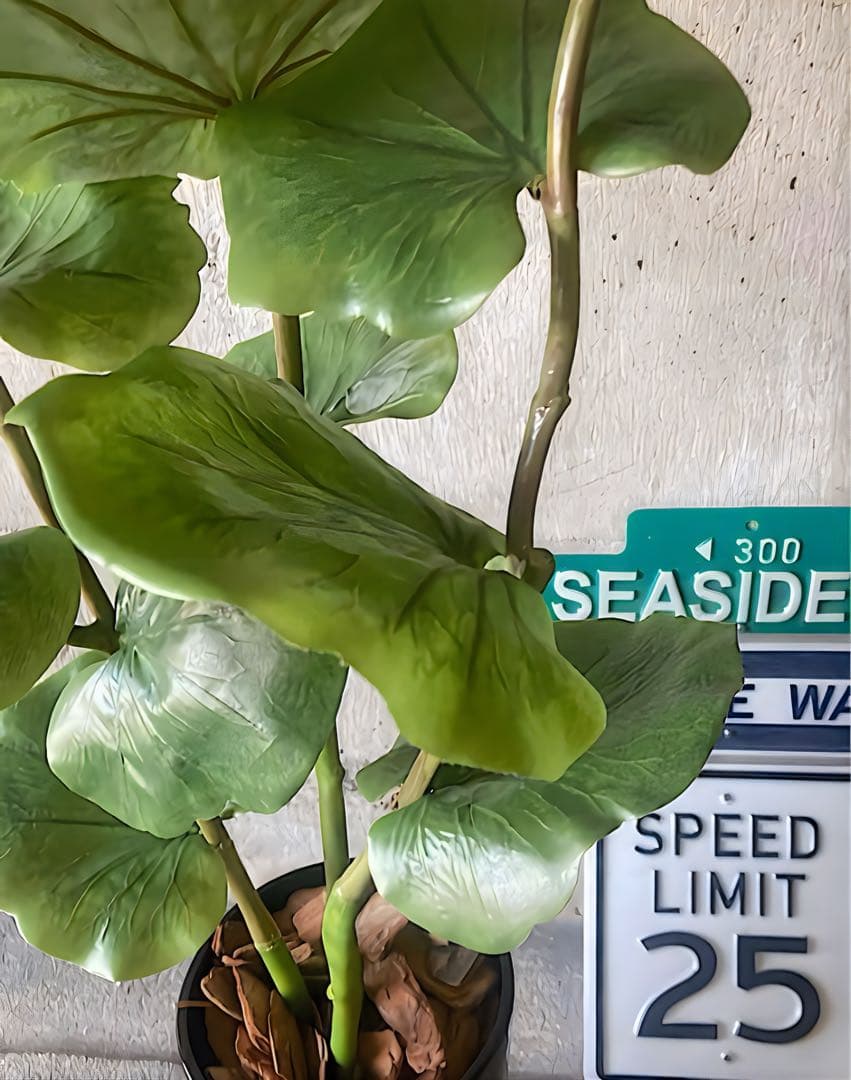 光触媒　人工観葉植物　ウォールグリーン　フェイクグリーン　シーグレープ120