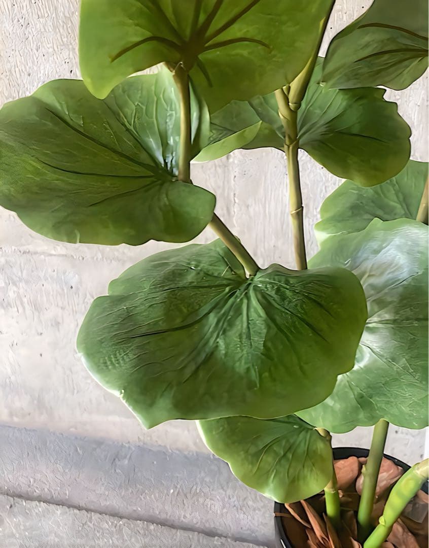 光触媒　人工観葉植物　ウォールグリーン　フェイクグリーン　シーグレープ120