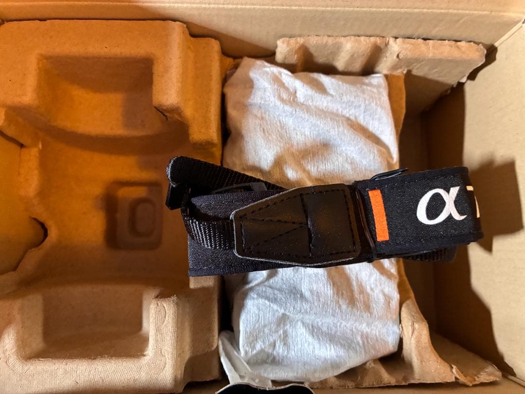 超優れもの！SONY α7C II ミラーレスカメラ ボディ