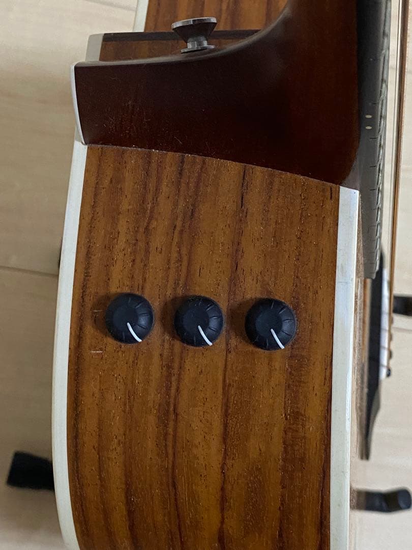 ギター Taylor 214ce es2