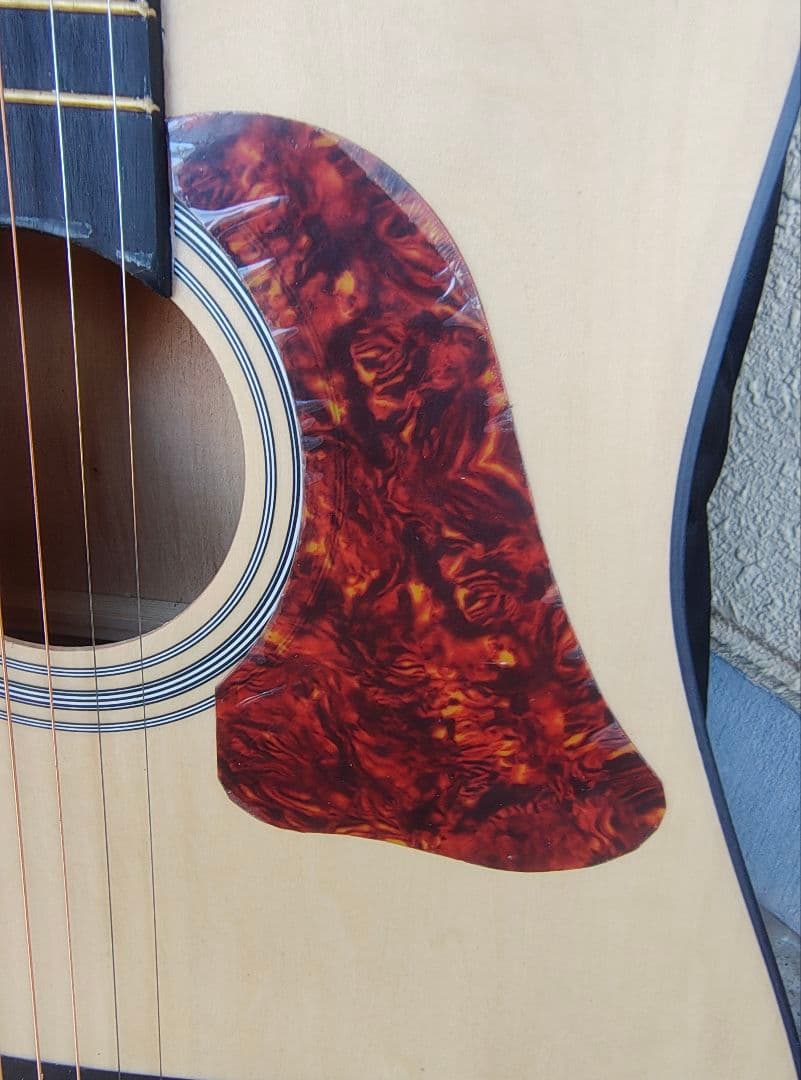 超美品 ほぼ未使用 初心者向け PU付きエレアコ オマケ多数 展示品