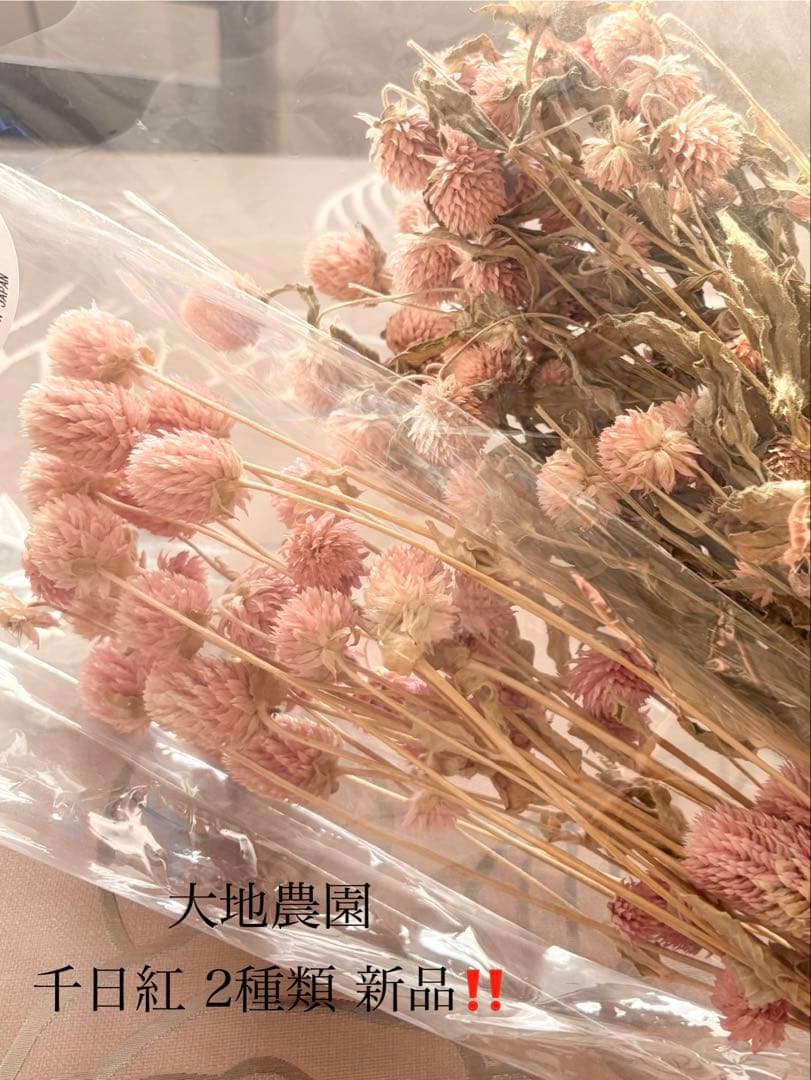 大地農園〜他花材、アレンジ雑貨まとめ売り☆赤字覚悟の出品です‼️ギリギリ値下げ