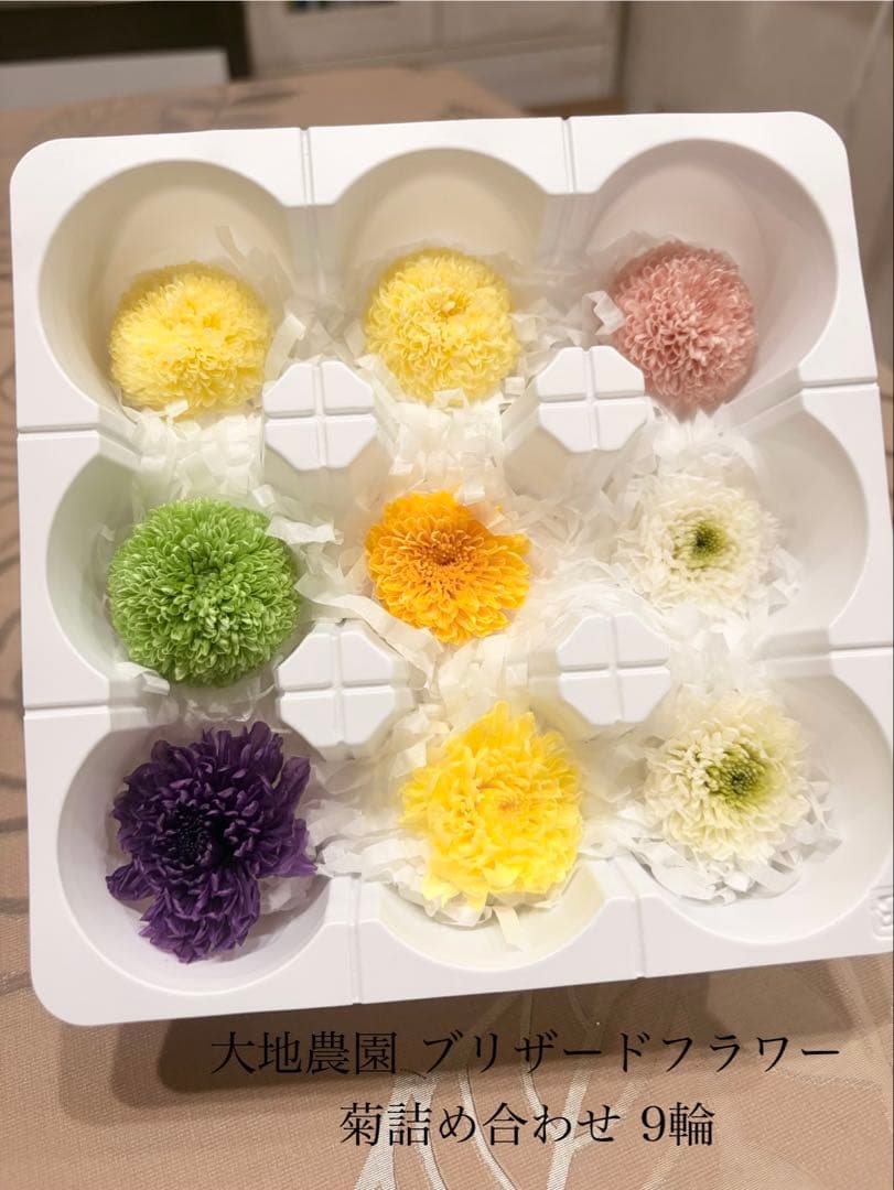 大地農園〜他花材、アレンジ雑貨まとめ売り☆赤字覚悟の出品です‼️ギリギリ値下げ