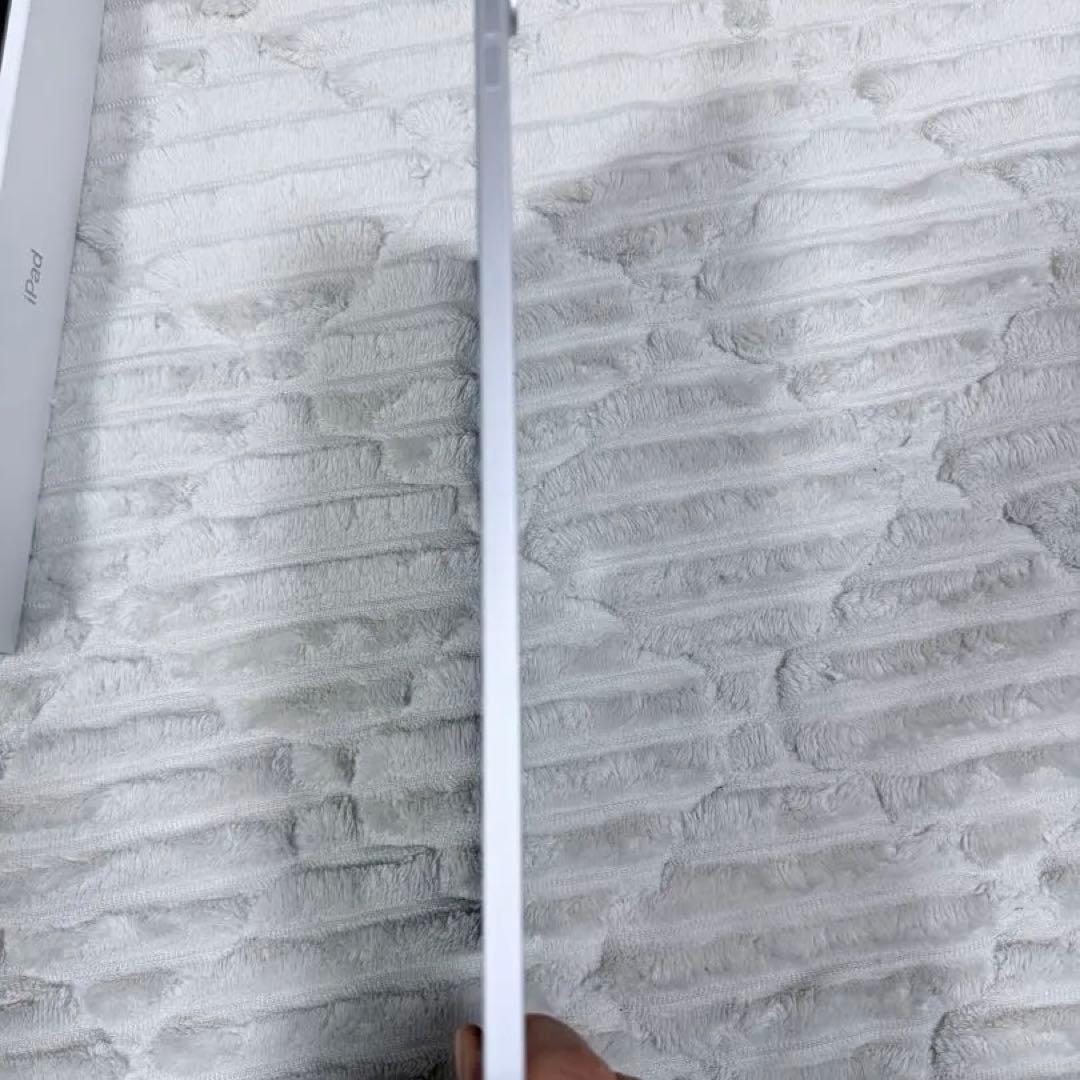 ジャンク品 ホワイト iPad 本体 第11世代 11インチ Wifiモデル