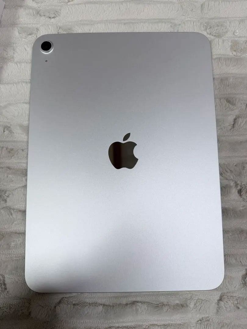 ジャンク品 ホワイト iPad 本体 第11世代 11インチ Wifiモデル