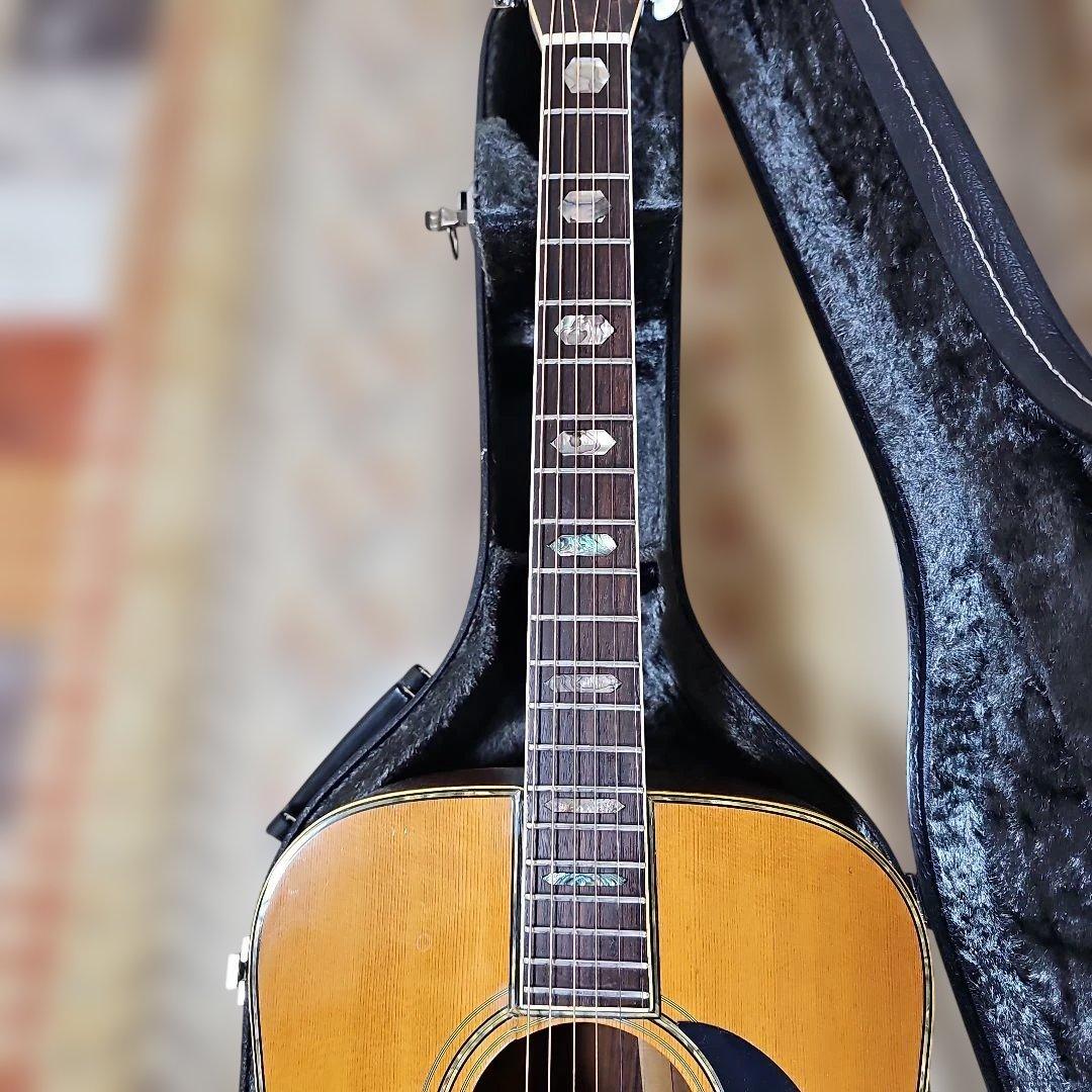 林楽器MOUNTAIN.W-500D1975年式 トップ単板、ハードケース付き