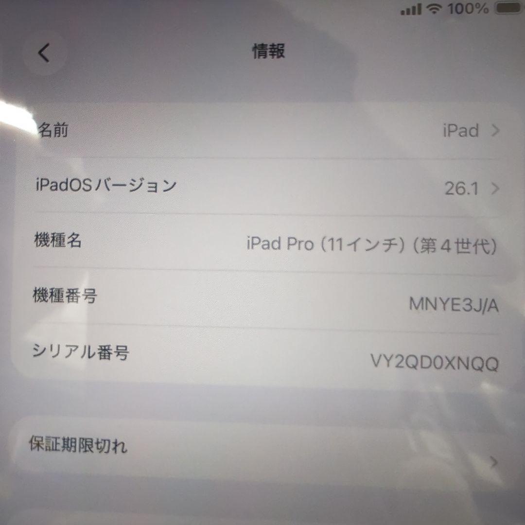 iPadPro 11インチ 第4世代 256GB Cellularモデル