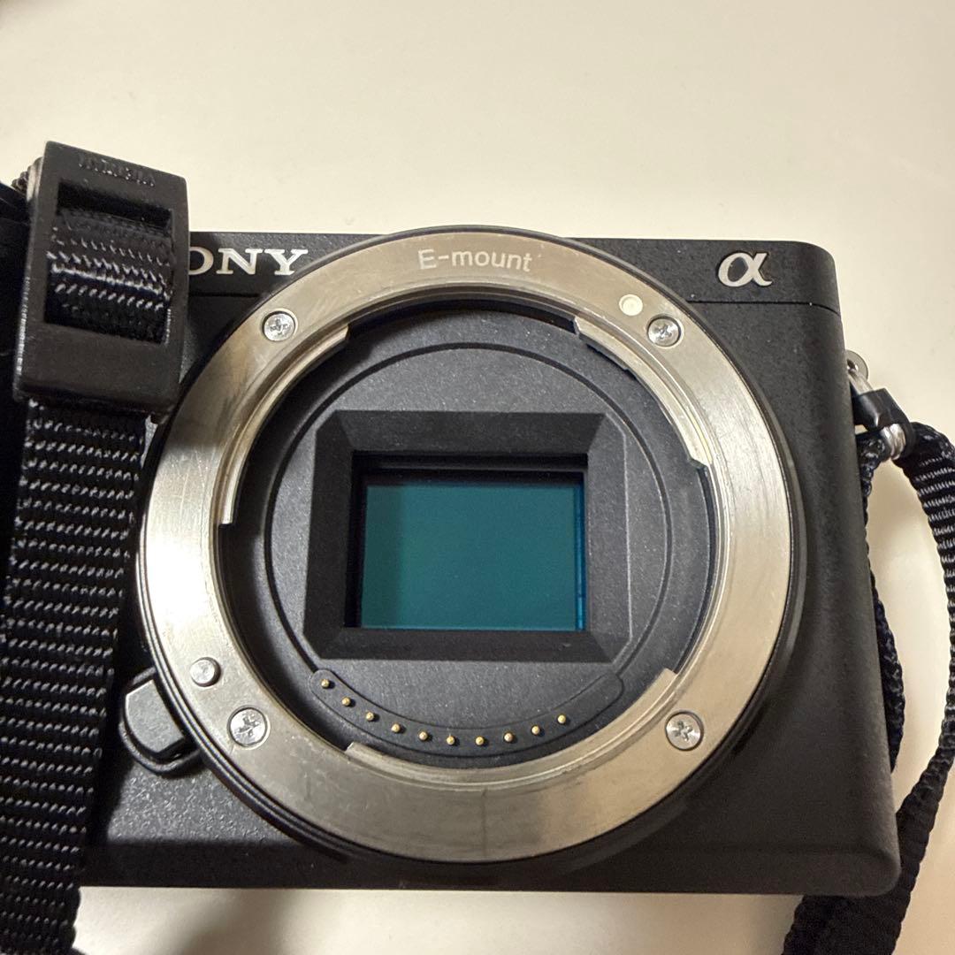 SONY α6300ミラーレス一眼カメラ　レンズ3個　その他 ショット数3733
