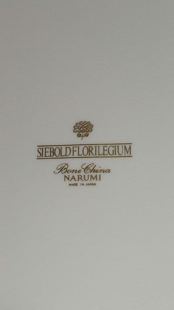 未使用品　ナルミ　シーボルト　フロリレギウム　レースオードブルプレート　絵皿