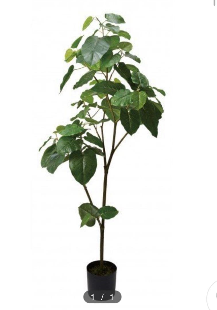 光触媒　人工観葉植物　ウォールグリーン　フェイクグリーン　ウンベラータ18085