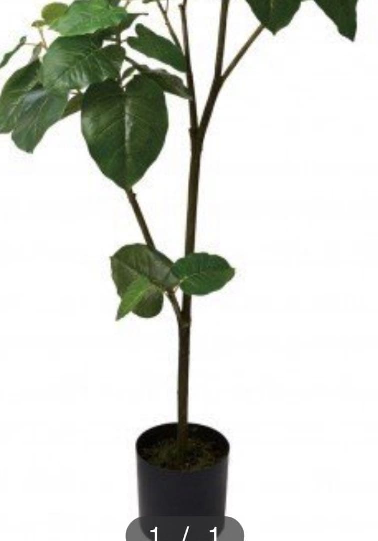 光触媒　人工観葉植物　ウォールグリーン　フェイクグリーン　ウンベラータ18085