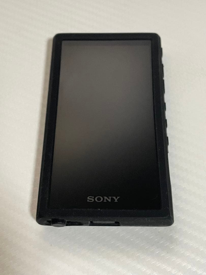 SONY WALKMAN NW-A306 32GB ケース+128GB SD付き