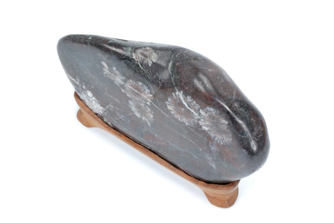 菊花石 紋石 鑑賞石 1.5kg 台座付 天然石 原石 水石 盆石 飾石 古美術