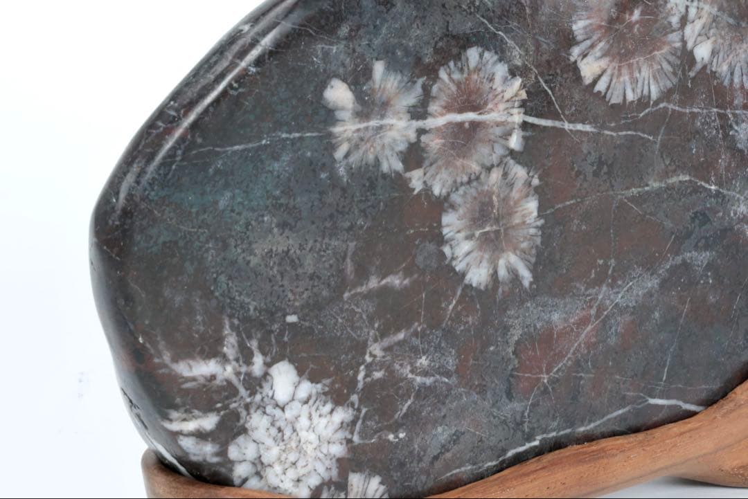 菊花石 紋石 鑑賞石 1.5kg 台座付 天然石 原石 水石 盆石 飾石 古美術