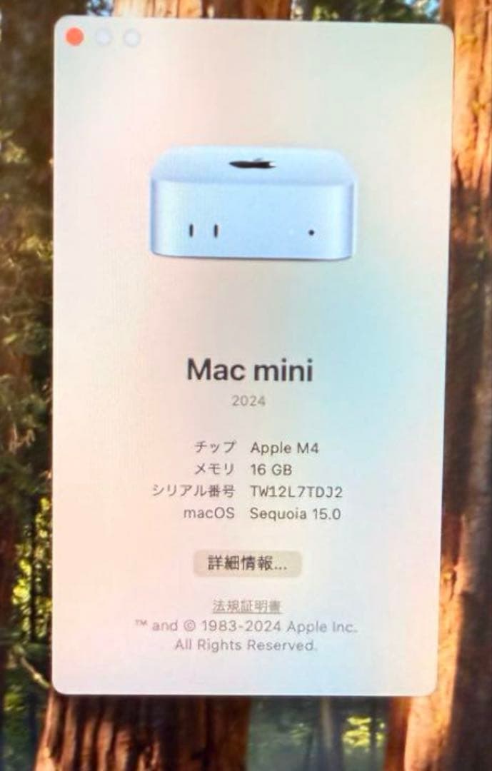Macデスクトップ Mac mini M4 RAM16/256GB
