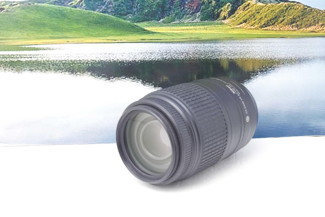 ニコン Nikon AF-S 55-300mm F4.5-5.6G VR