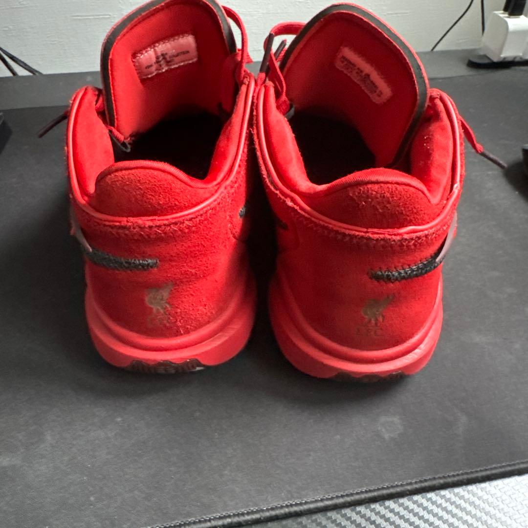 レブロン　ナイキ バスケットボールシューズ