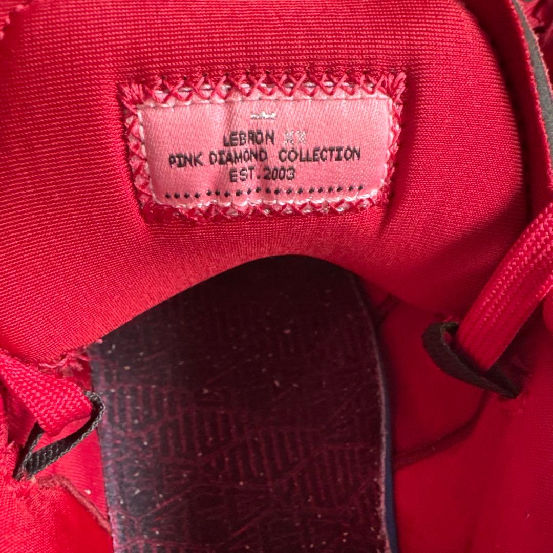 レブロン　ナイキ バスケットボールシューズ