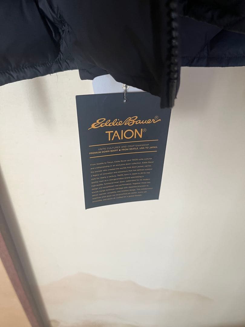 TAION×Eddie Bauer スカイライナーダウン ライト ブラック L