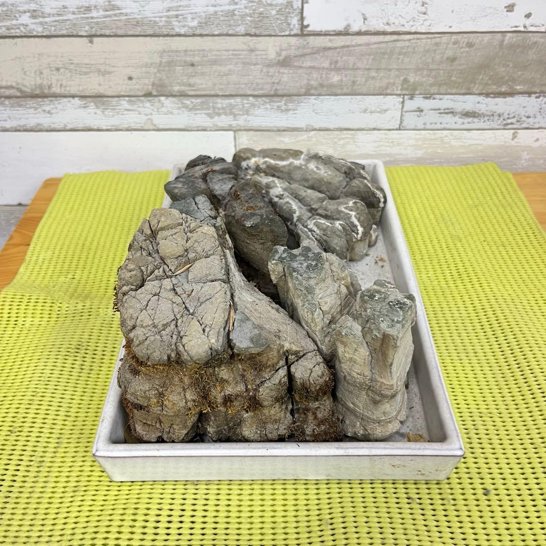 【5個セット】誉平(ポンピラ）石　自然石　水石　盆栽　鑑賞　台つき