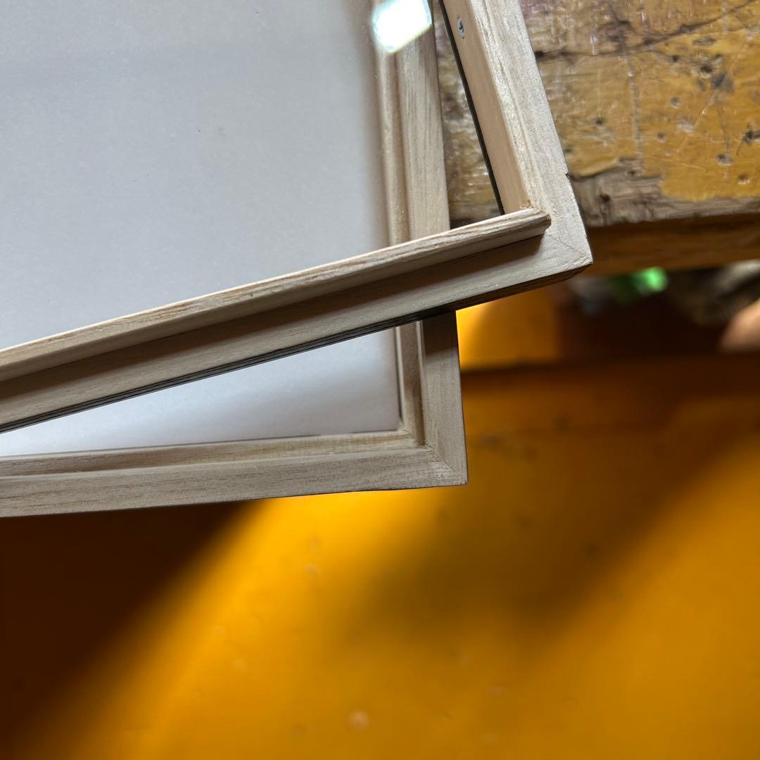 大型標本箱　２箱