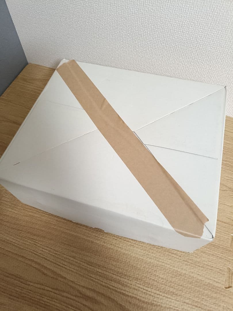 ESTHETWIN 2000-FB 美顔器