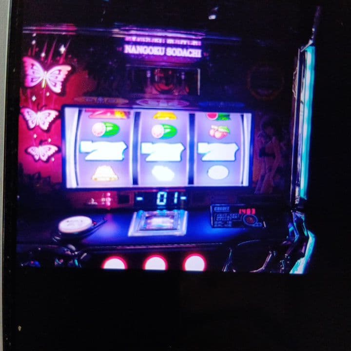 スマスロ南国育ち超美品