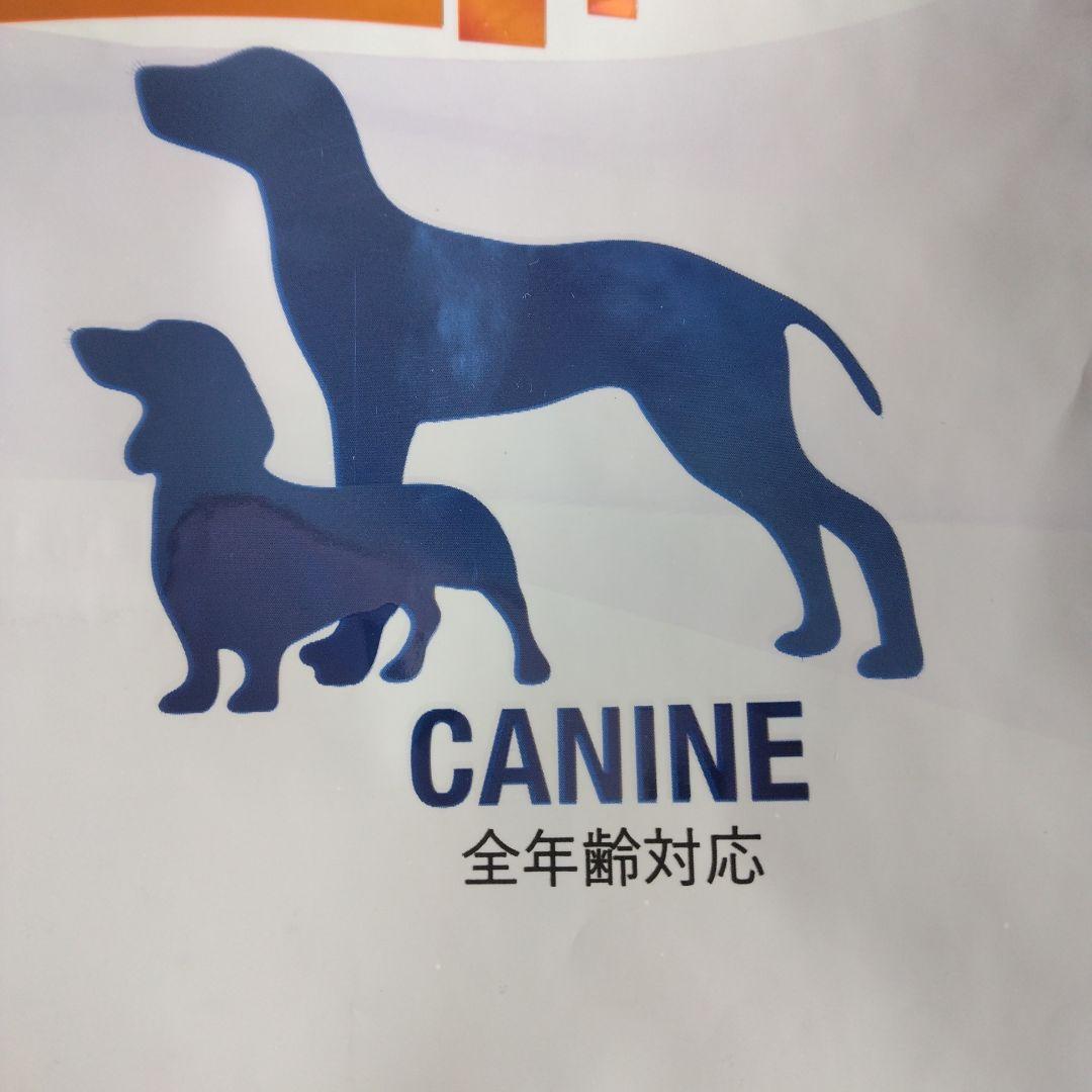 VetSolution 腎臓とシュウ酸塩サポート 3kgx2袋セット