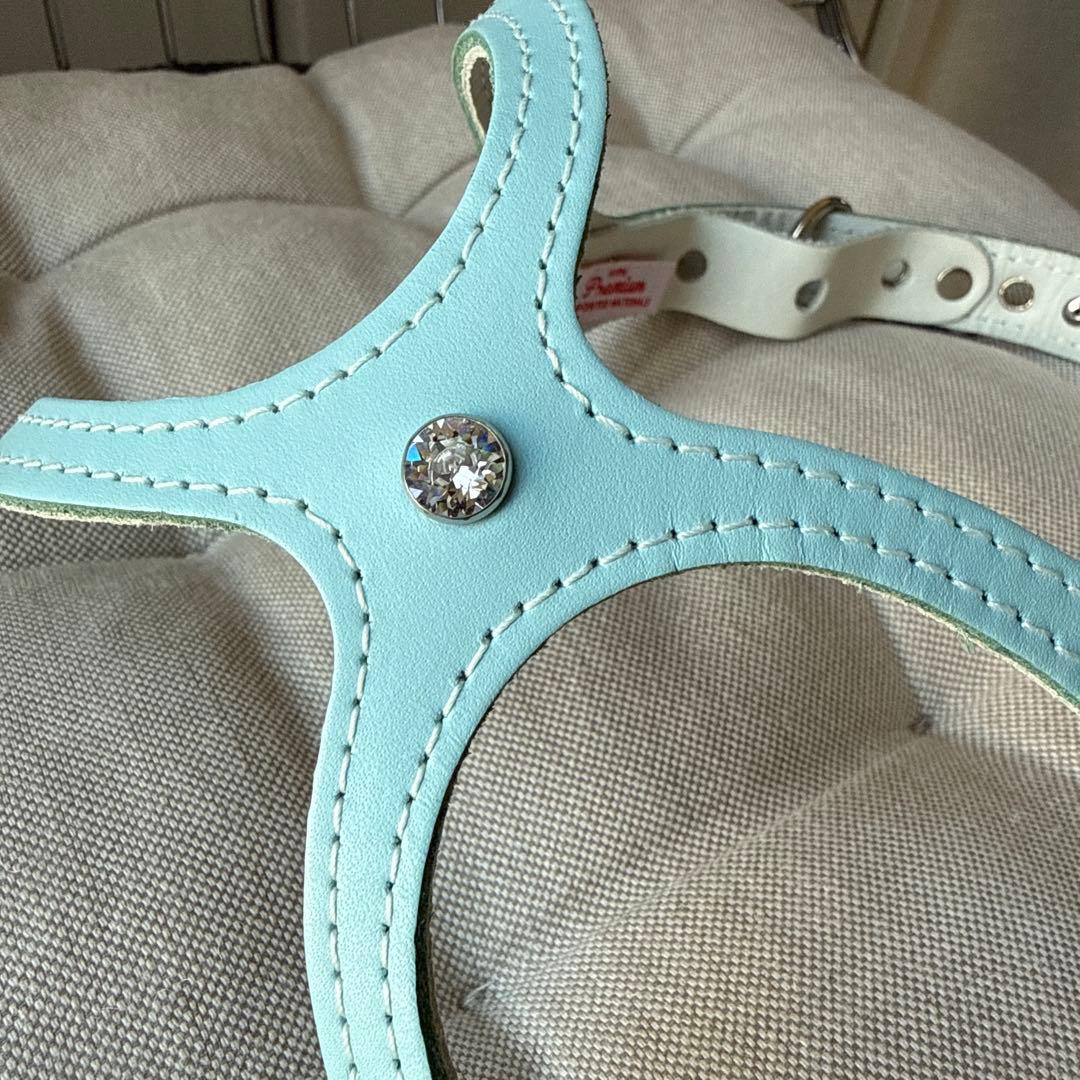 試着のみ☆BUDDY BELTSバディーベルト4号