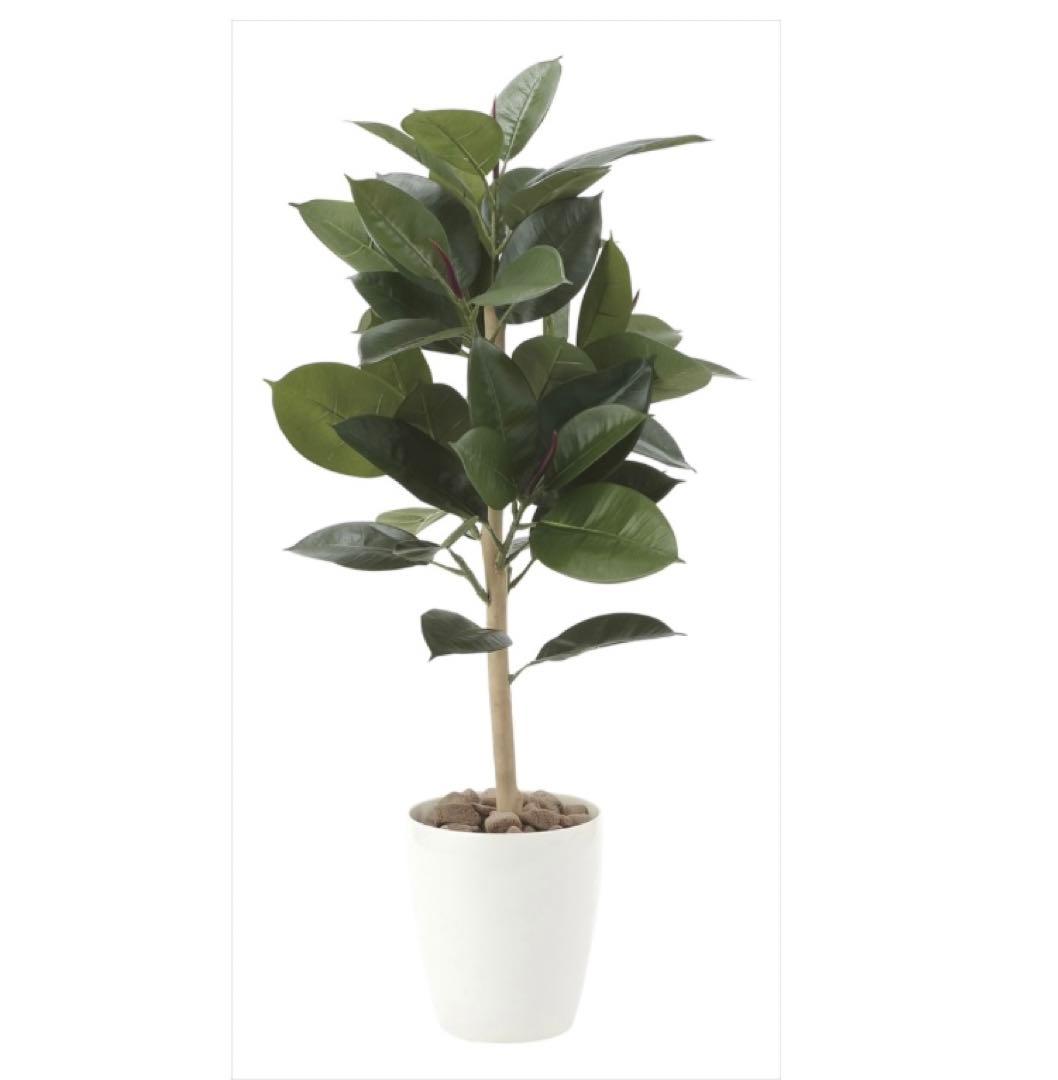 光触媒　人工観葉植物　ウォールグリーン　フェイクグリーン　ゴムの木90