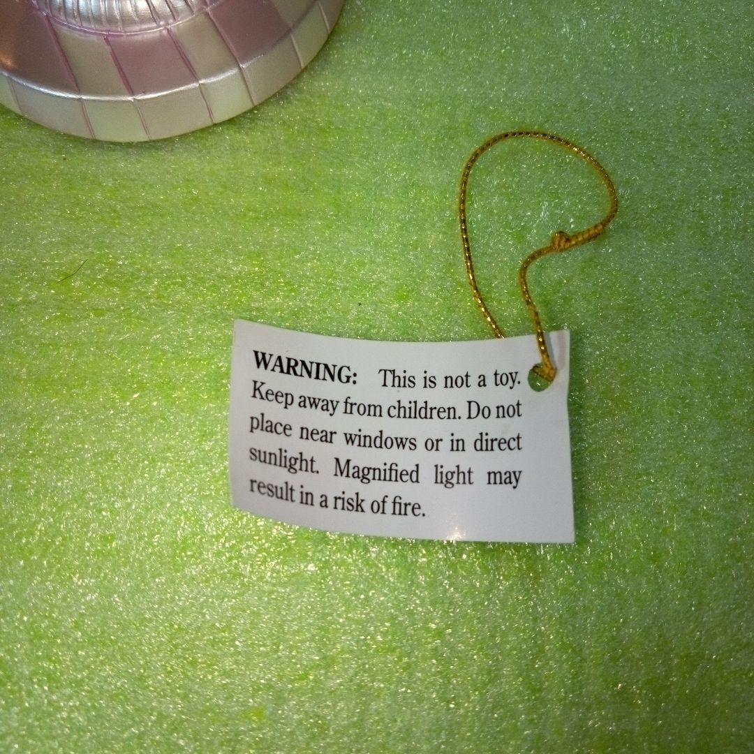 Hong Kong　DISNEYLAND　スノードーム　マリーちゃん？　レア希少