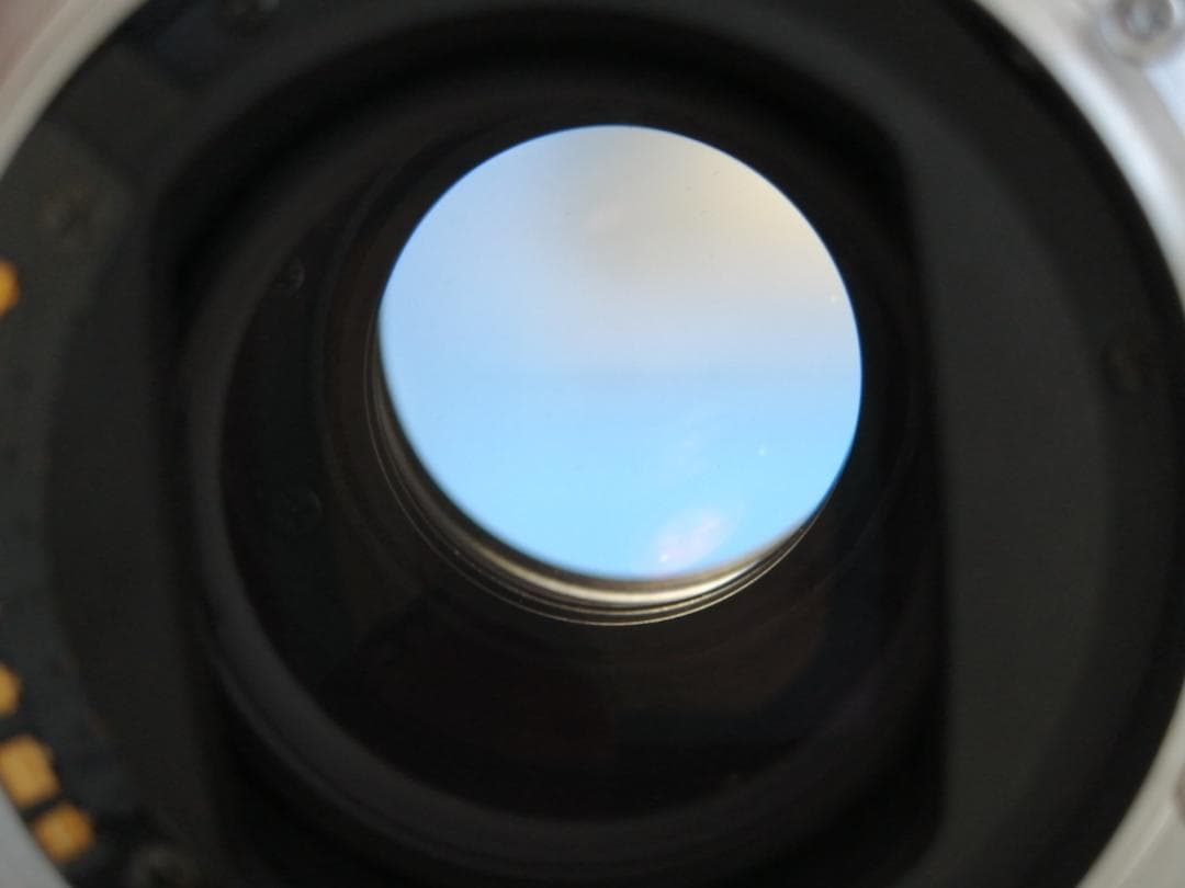 レンズ(単焦点) MINOLTA AF MACRO 100mm f/2.8 D #7813