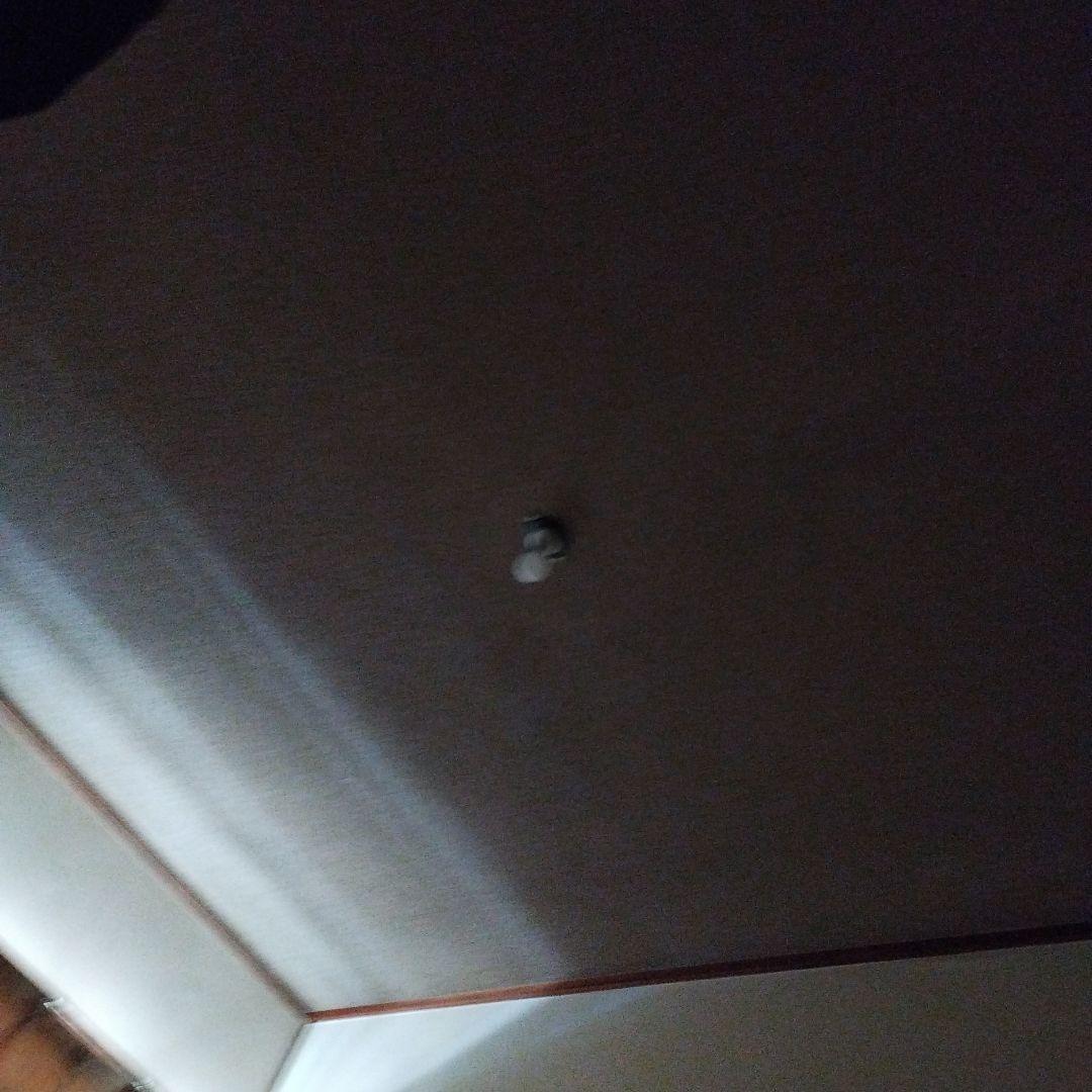 スマホ・タブレット・パソコン IMAC MC511J/A